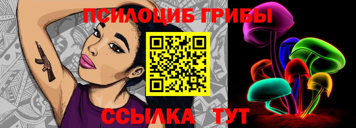 Псилоцибиновые грибы прущие грибы  Вход с VPN  Ярославль  Галлюциногенные грибы Psilocybe 